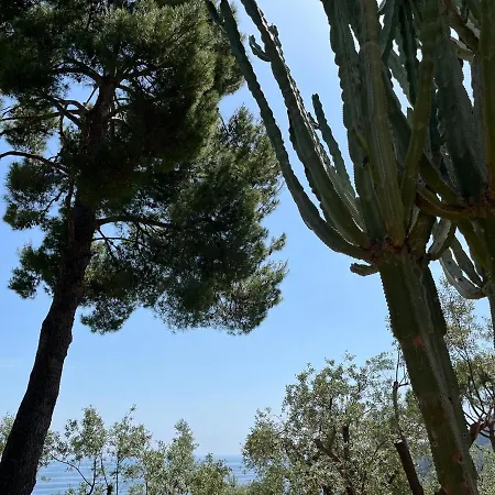 アパート Donna Giulia *